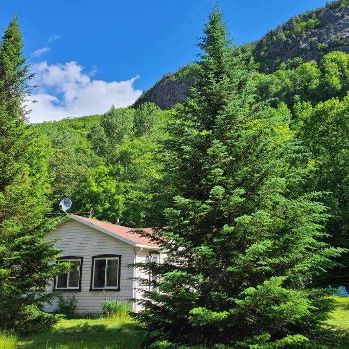 Chalet Falaise By Chalets Nabu Villa Saint-Alexis-des-Monts Dış mekan fotoğraf